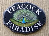 house-sign-peacock
