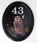 night-owl-house-number