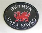 red-welsh-dragon-sign