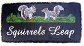squirrels-leap-sign