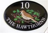 thrush-hawthorns-house-sign