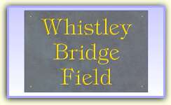 Click to View a Larger Image of this House Sign